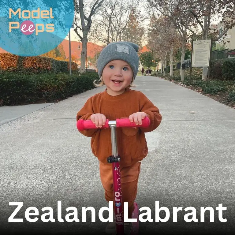 Zealand Labrant