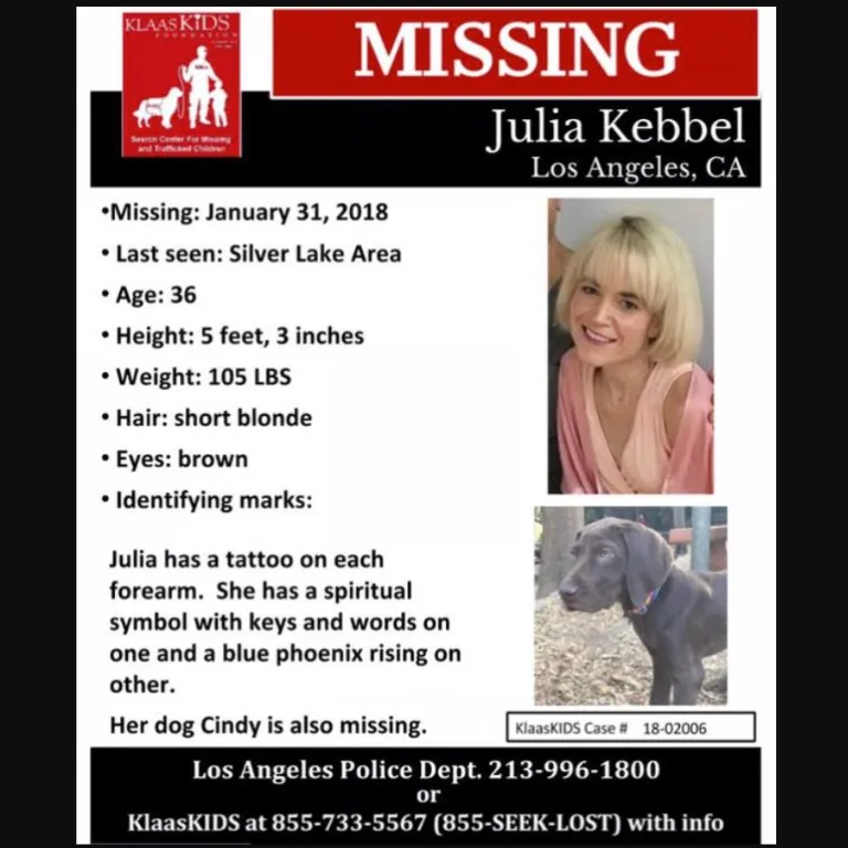 A Poster For Search Plea Of Julia Kebbel